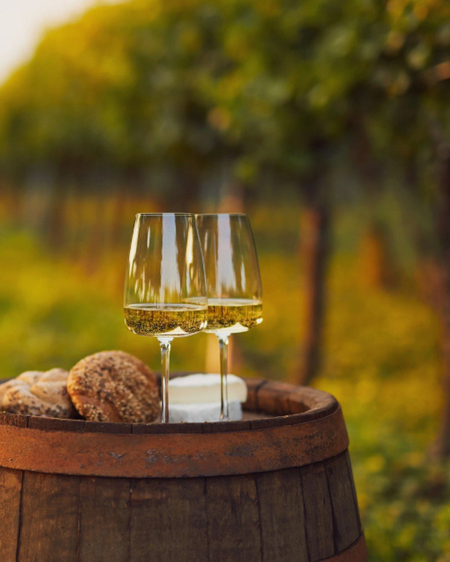 Copas de vino blanco sobre una barrica al atardecer