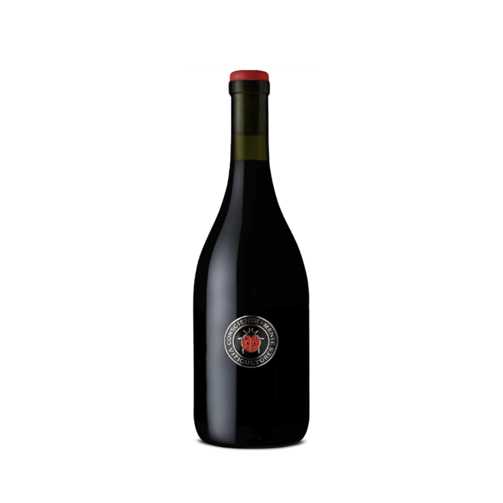 Conscientemente Viticultores Eugenio Bustos Icono 750 ml - Bot