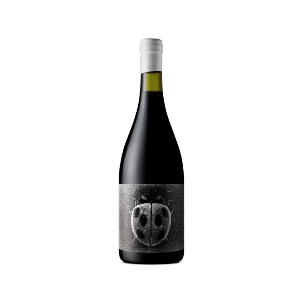 Conscientemente Viticultores Pinot noir 750 ml - Bot