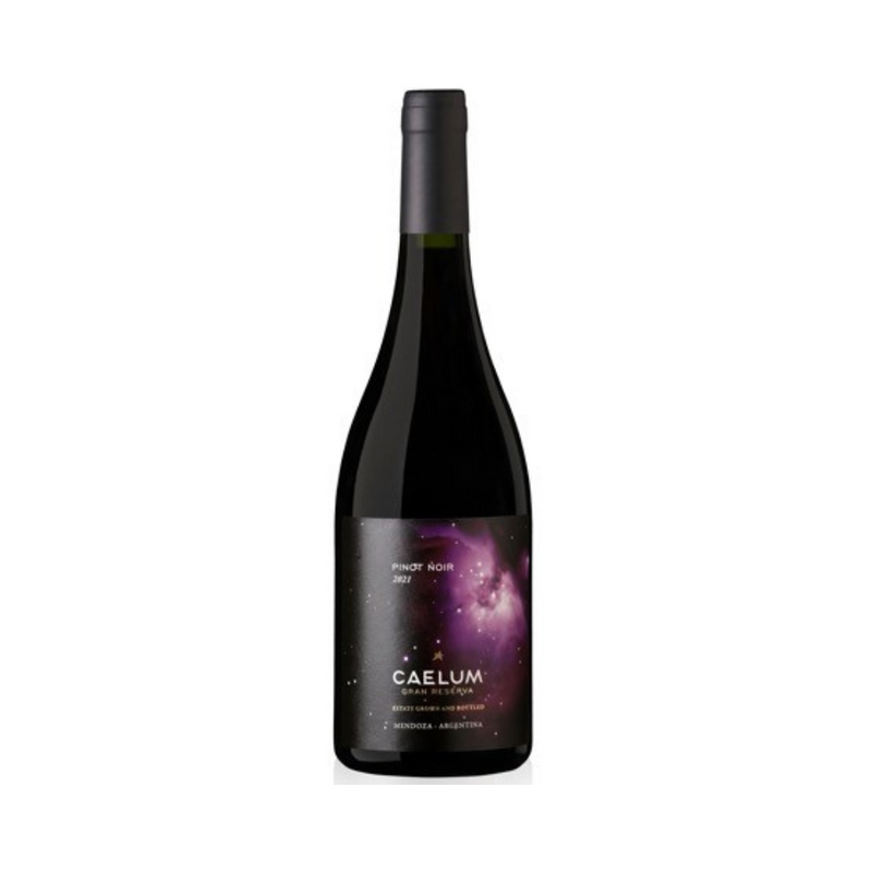 Caelum Pinot Noir Gran Reserva 750ml - Bot