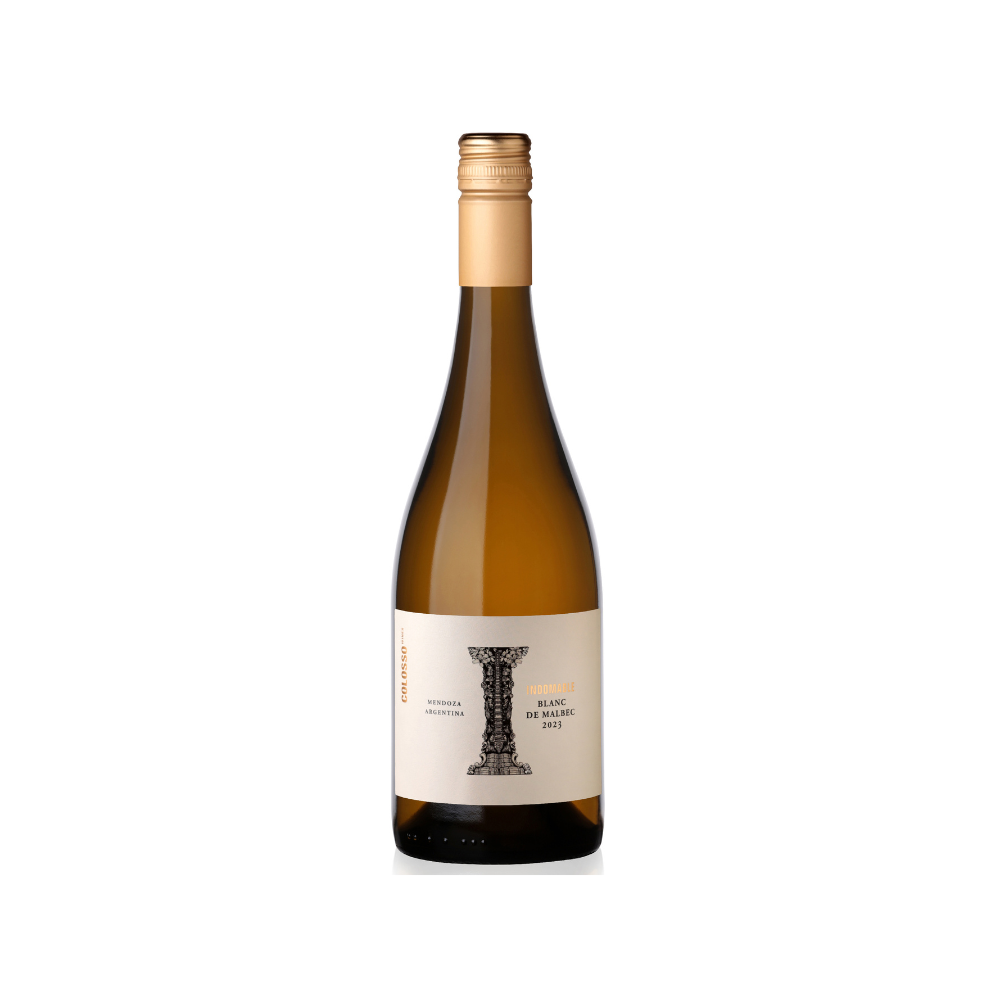 Bodega Vicentin Blend de Blancs 750ml - Bot