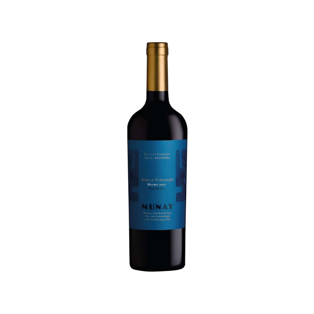 Bodega Porvernir Cafayate Munay Single Vineyard Malbec 750 ml - Bot