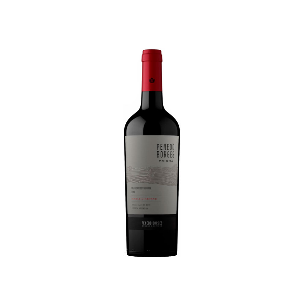 Penedo Borges Prisma Gran Cabernet sauvignon 750 ml - Bot