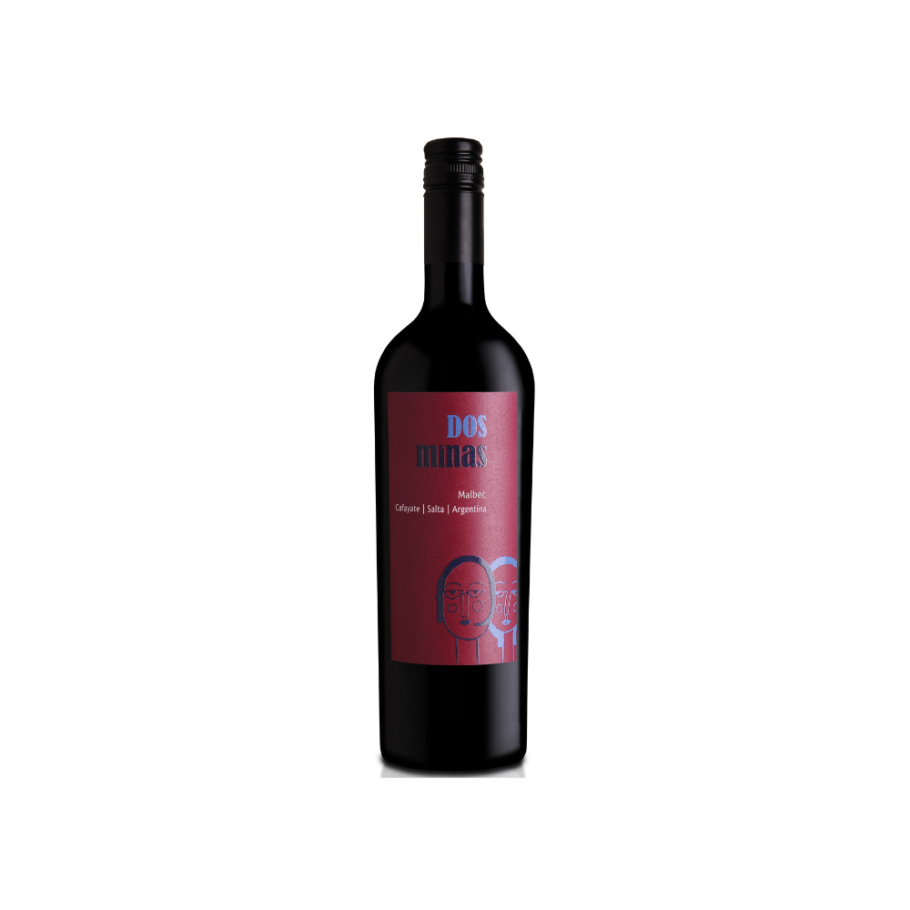 Bodega Porvernir Cafayate Dos Minas Malbec 750 ml - Bot