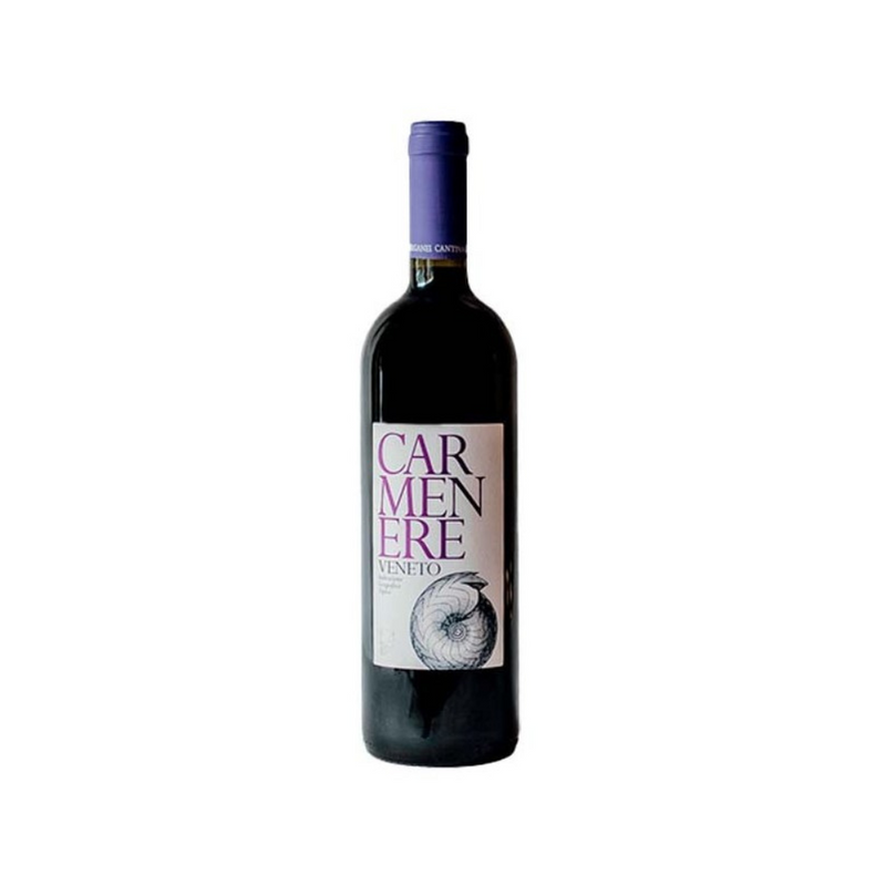 Colli Euganei Carmenere IGT 750 ml - Bot
