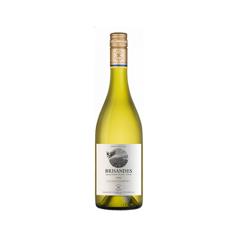 Brisandes Chardonnay 750ml - Bot