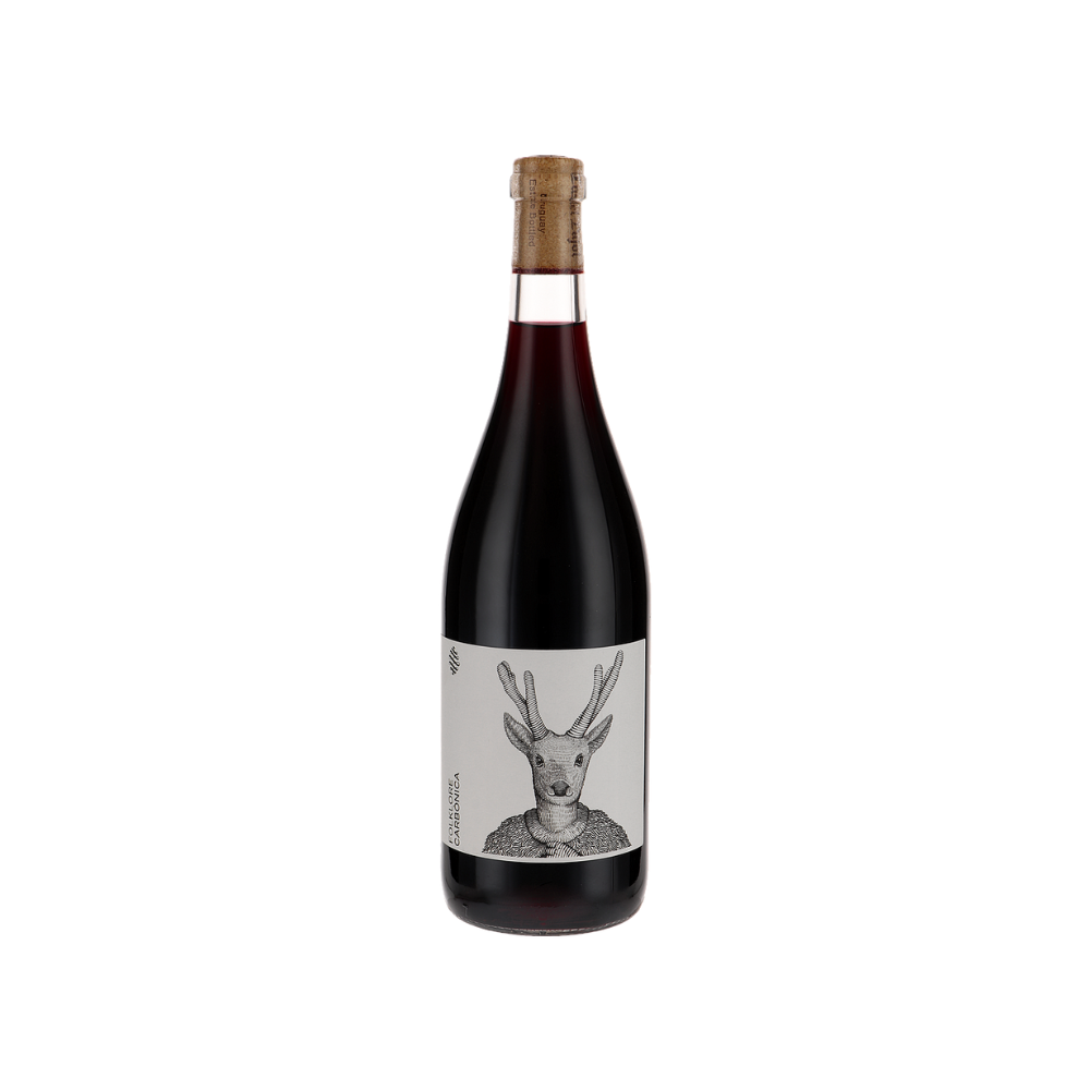 Castell Pujol Folklore Arinarnoa Carbónica 750 ml - Bot