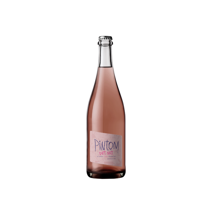 Pintom Petnat Pinot Noir 750ml - Bot